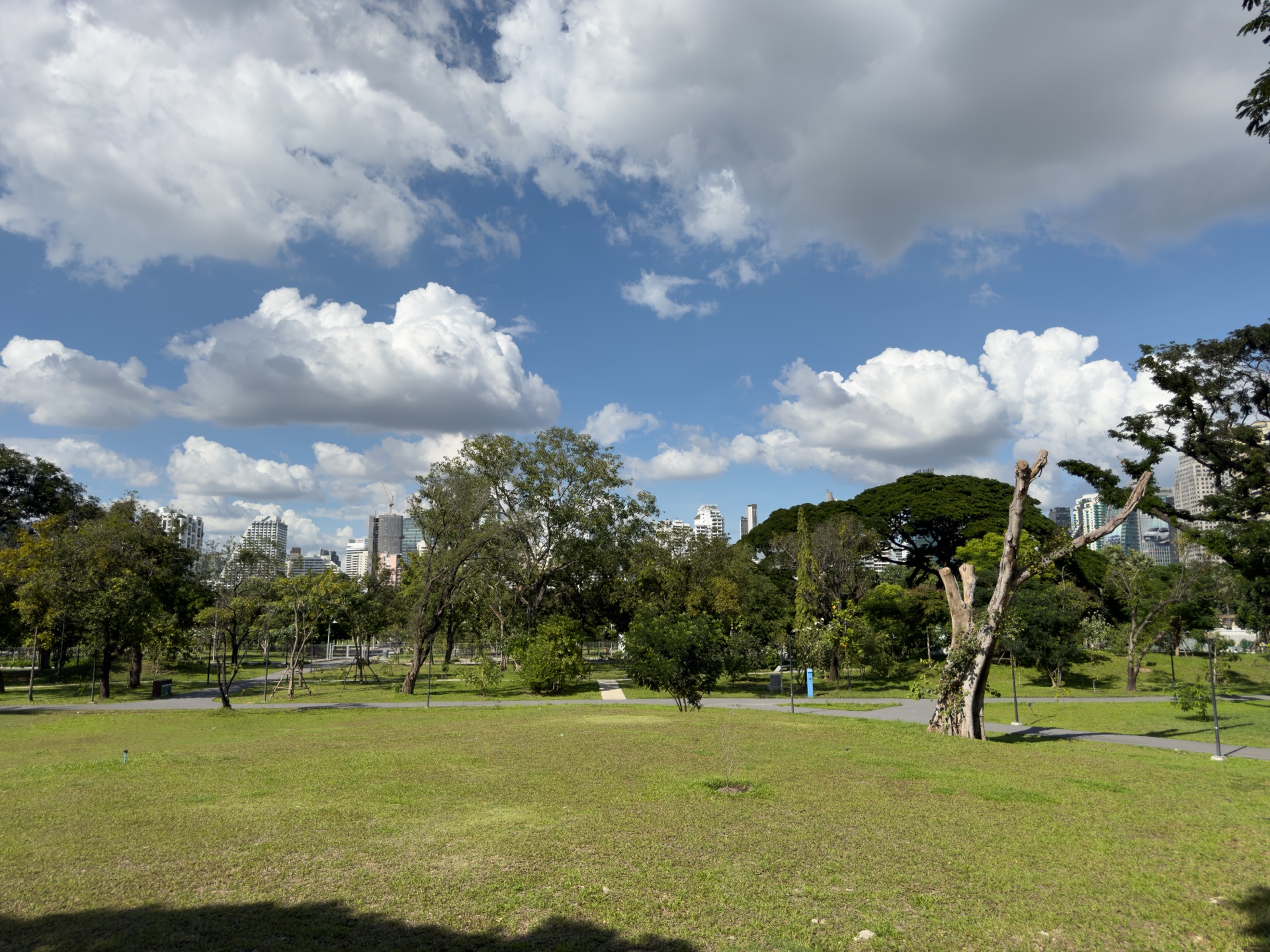 Grüne Rasenflächen im Benjakity Park Bangkok mit Baumbestand