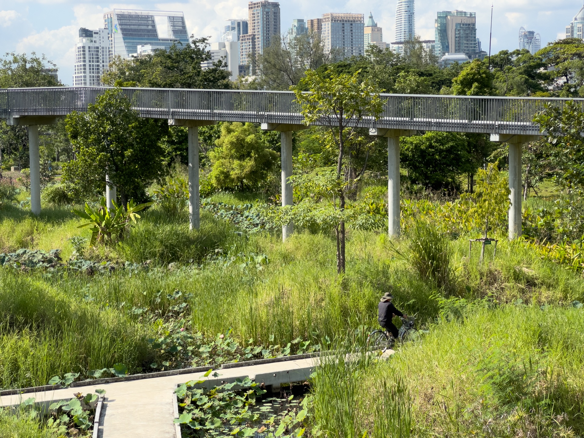 Erhöhter Skywalk über das Feuchtbiotop im Benjakity Park Bangkok