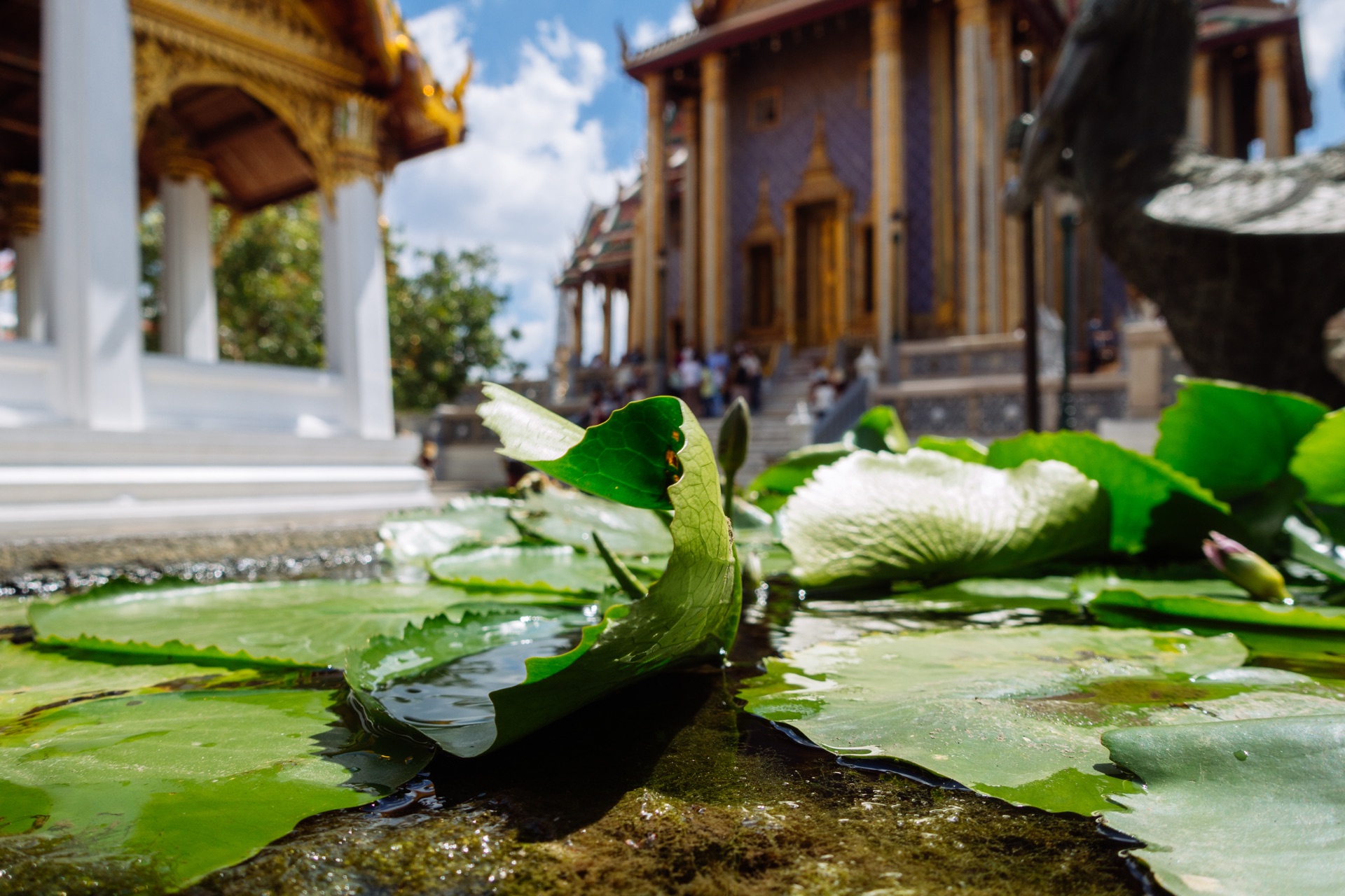 Tempel-Detail am Königspalast Bangkok mit Lotusteich und Tempelgebäude im Hintergrund