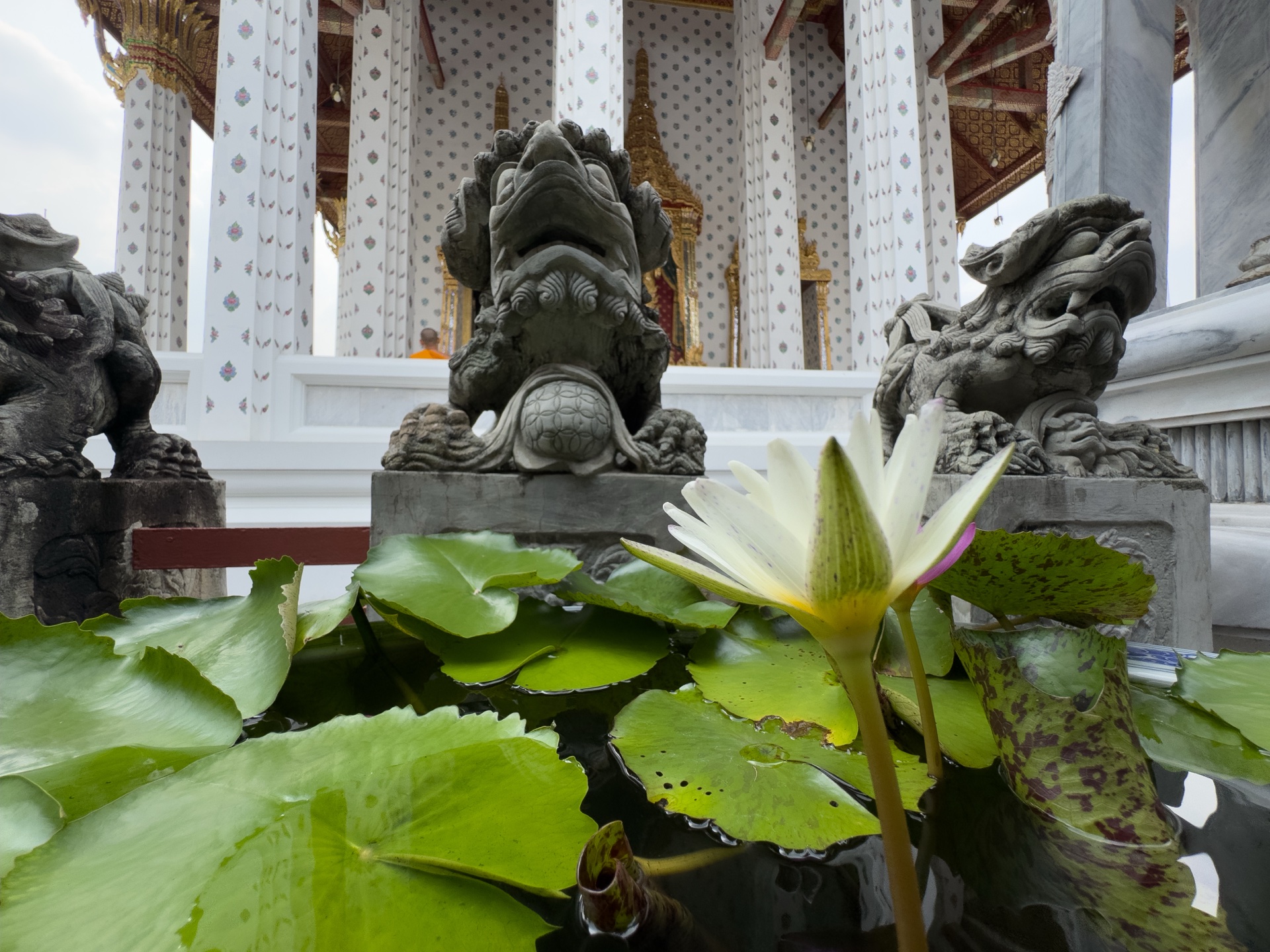 Lotusblüte und Drachenstatue am Wat Arun Bangkok